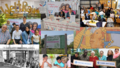 Webportal "Solidaritätsgeschichten" - Image
