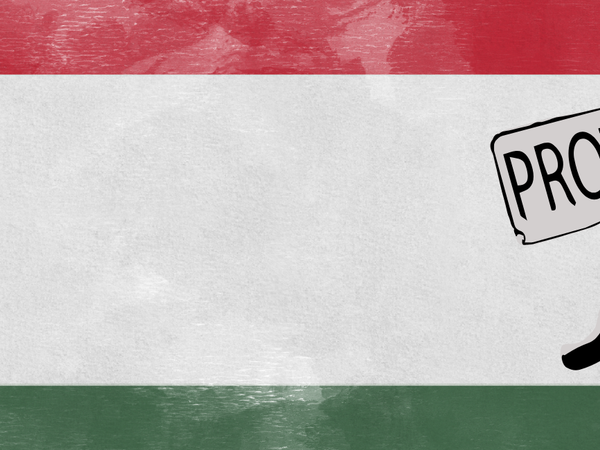 
                             Slider image 7
                         