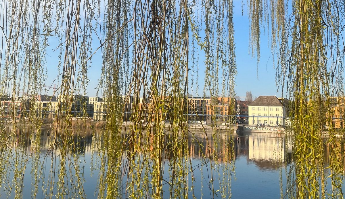 Flüchtige Freiheit und radikale Fürsorge: Die Überlegenheit der Unterlegenen