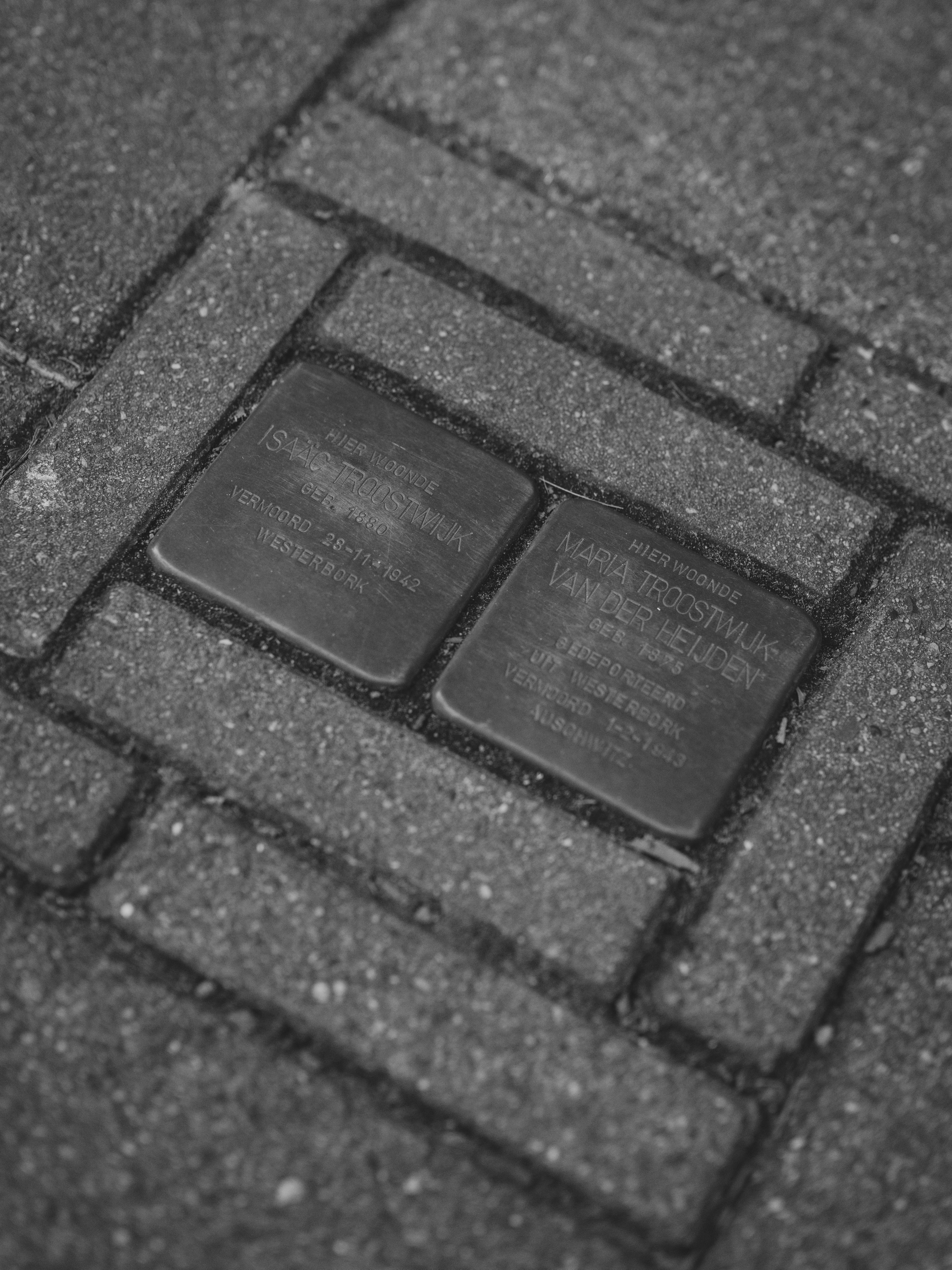 Wie Holocaust-Erinnerung instrumentalisiert wird - Image